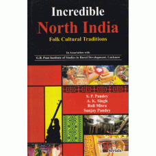 Incredible North India Folk Cultural Traditions 